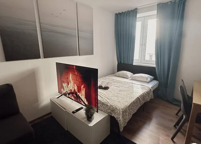 Spacious 3 Flat Near Messe Prater And Old * Wien