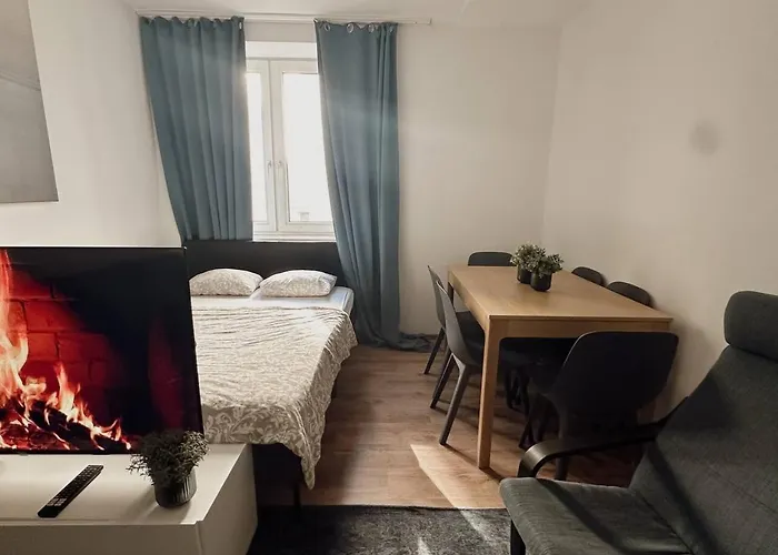 Spacious 3 Flat Near Messe Prater And Old Apartment *